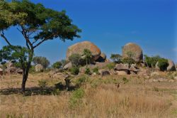 Un tipico villaggio di capanne nella provincia di Masvingo, Zimbabwe (Africa).

