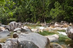 Un torrente attraversa la foresta nei pressi di Mackay, Australia.

