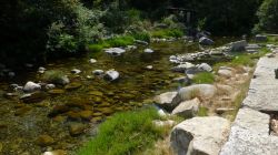 Un torrente dall'acqua limpida nei pressi della campagna di Ribadavia, Spagna.

