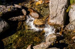 un torrente vicino a Craveggia in Val VIgezzo in Piemonte