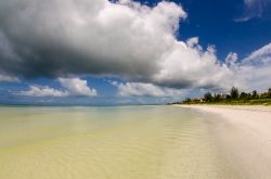 Un tratto del litorale dell'isola di Holbox, penisola dello Yucatan, Messico.

