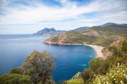 Un tratto del litorale roccioso nei pressi della città di Porto, Corsica.
