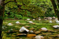 Un tratto del Mossman River al Daintree National Park, Australia. Le acque cristalline di questo fiume che attraversa la foresta pluviale al parco Daintree.
