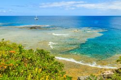 Un tratto della costa di Alofi, capitale dell'isola di Niue, Oceano Pacifico. Il villaggio si trova al centro della baia omonima nei pressi della scogliera di corallo che circonda quest'isola.
 ...