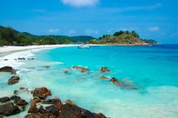 Un tratto della costa di Palau Redang, Malesia: turisti nuotano nelle acque del Mar Cinese Meridionale - © Alan Tow / Shutterstock.com