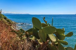 Un tratto della costa di Piombino, Toscana. Conosciuta anticamente come porto di Falesia, Piombino è protesa nel mare su un suggestivo promontorio di fronte alle isole dell'arcipelago ...