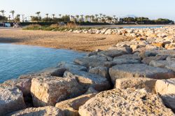 Un tratto della costa rocciosa con sabbia e palme a Vinaros, Spagna. Questa graziosa località si affaccia sul mare della Spagna Orientale.

