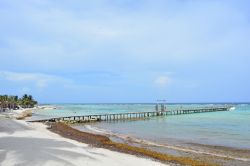 Un tratto della spiaggia caraibica di Mahahual, Messico, con il pontile in legno. Siamo sulla Costa Maya, a sud della Riserva della Biosfera Sian Ka'an - © mundosemfim / Shutterstock.com ...
