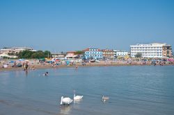 Un tratto della spiaggia di Caorle, Veneto. Agli appassionati di mare, questa località offre 250 strutture alberghiere, villaggi turistici, campeggi e un migliaio di posti barca distribuiti ...