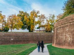Un tratto delle mura fortificate di Lucca, Toscana. Si tratta del secondo più importante esempio di mura costruite in Europa secondo i principi di fortificazione alla moderna. Mai utilizzata ...