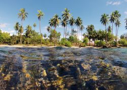 Un tratto dell'isola tropicale vista dal mare, isole Salomone, Oceania. Honiara sorge sulla costa nord-occidentale dell'isola di Guadalcanal, alla foce del fiume Mataniko.



