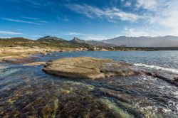 Un tratto di costa nei pressi di Lumio, regione della Balagna, Corsica. Siamo a Punta del Caldanu.  



