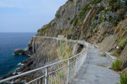 Un tratto di costa rocciosa e la Via dell'Amore a Riomaggiore, La Spezia, Liguria. Da questo borgo, fino a Manarola, inizia la celebre strada pedonale che permette di ammirare splendidi ...