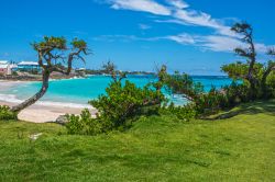 Un tratto di litorale a Bermuda con spiagge deserte e acqua color verde smeraldo. Il territorio è ricoperto da una vegetazione lussureggiante grazie alle frequenti piogge e alla fertilità ...