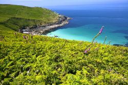 Un tratto di litorale nei pressi di St. Ives, Cornovaglia, Regno Unito. Il porticciolo di questa località è molto pittoresco: qui si affacciano i cottage dei pescatori e le barche ...