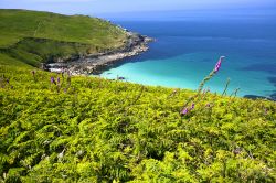 Un tratto di litorale nei pressi di St. Ives, Cornovaglia, Regno Unito. Il porticciolo di questa località è molto pittoresco: qui si affacciano i cottage dei pescatori e le barche ...