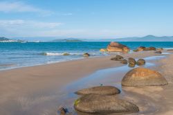 Un tratto di Ponta das Canas a Florianopolis, Brasile, con le suggestive formazioni rocciose che affiorano dall'acqua dell'oceano.
