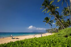 Un tratto di spiaggia di Keawakapu, Kihei, Hawaii. La barriera corallina che si trova davanti a questa spiaggia è perfetta per fare snorkeling e rimanere incantati dai colori dei fondali.
 ...