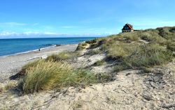 Un tratto di spiaggia nei pressi della vecchia città di Skagen, al nord della Danimarca. Paradiso per chi ama pesce e frutti di mare, Skagen è anche la perfetta località ...