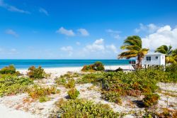 Un tratto di spiaggia tropicale sull'isola di Barbuda, America Centrale: sabbia bianca e fine, acqua turchese e cielo blu.

