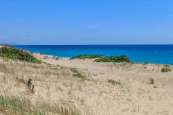 Un tratto selvaggio della lunga praia de Comporta in Portagallo: siamo nel territorio di Grandola

