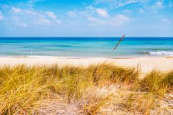 Un tratto selvaggio della Spiaggia del Fiume Morelli vicino ad Ostuni in Puglia.