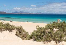 Un tratto spettacolare della spiaggia di Corralejo a Fuerteventura, Isole Canarie, Spagna. Arenile di sabbia e acque turchesi per questo tratto di spiaggia di una delle località più ...
