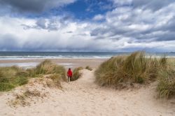 Un turista sulla costa del  Northumberland vicino a Bamburgh in Inghilterra