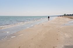 Un uomo cammina sulla spiaggia di Lido di Volano al mattino - © matteo fabbri / Shutterstock.com