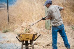 Un uomo lavora nel fienile e riempie una carriola nelle campagne di Pichilemu, Cile - © Pablo Rogat / Shutterstock.com