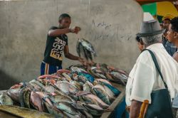 Un uomo vende pesce al Sir Selwyn Clarke market di Victoria, Mahé, Seychelles - © fokke baarssen / Shutterstock.com