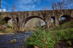 Un vecchio ponte in pietra sul fiume Fluvia a Olot, Catalogna, Spagna.



