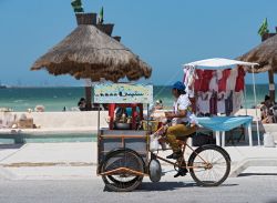 Un venditore ambulante di frutta in una strada di Progreso, Messico - © Rainer Lesniewski / Shutterstock.com