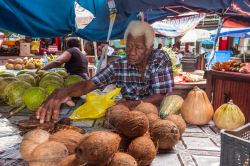 Un venditore di frutta e noci di cocco al Sir Selwyn Clarke market di Victoria, Mahé: costruita nel  1840, quest'area mercatale è stata rinnovata nel 1999 - © byvalet ...