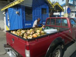 Un venditore di noci da Cocco a Castries capitale di Saint Lucia, Caraibi  - © RaksyBH / Shutterstock.com