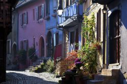 Un vicolo con case colorate nel centro di Eguisheim, Alsazia, Francia.
