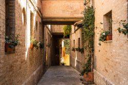 Un vicolo del centro storico di Recanati, Marche: gli antichi edifici, con le facciate abbellite da fiori e piante, si affacciano sulla viuzza dalla pavimentazione acciottolata.



