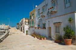 Un vicolo di Molfetta, Puglia. L'origine della cittadina risale presumibilmente all'epoca romana: alcuni ritrovamenti fanno ipotizzare la presenza di un villaggio di pescatori già ...