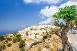 Un villaggio dell'isola di Nisyros, Grecia: questo grazioso borgo greco di montagna è caratterizzato da case bianche con tetti rossi.

