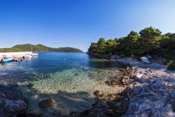 Una baia sull'Isola di Mrcara (Marchiara) in Dalmazia, sud della Croazia