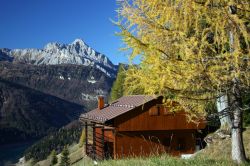 Una baita di montagna tra le Alpi Carniche, nel territorio di Sauris in Friuli Venezia Giulia - © Roberto Romanin / Shutterstock.com