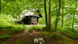 Una baita in legno nei pressi del lago di Bohinj nell'omonima valle, Slovenia. Siamo nella parte nord-occidentale del paese.
