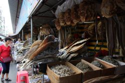 Una bancarella di pesce essiccato al mercato di Haikou, Cina. Siamo nella parte settentrionale della città, su Haidian Yilu - © Al.geba / Shutterstock.com