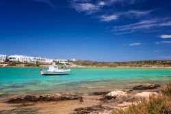 Una barca da pesca ormeggiata davanti al litorale dell'isola di Antiparos, Grecia. Sullo sfondo, la tradizionale architettura greca.

