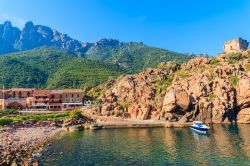 Una barca nella baia di Porto la mattina presto (Corsica). Piccolo villaggio dell'ovest della Corsica, Porto è il perfetto punto di partenza per andare alla scoperta del paese - © ...