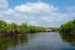 Una barca nella foresta di mangrovie vicino a Manda Island, distretto di Lamu, Kenya.

