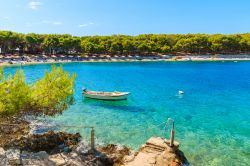 Una barchetta in legno nella splendida baia di Primosten, Dalmazia, Croazia. Questa località attrae i turisti per la sua interessante architettura ma anche per le spiagge lambite da acque ...