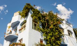 Una bella casa di Giardini Naxos, provincia di Messina, ricoperta di vegetazione (Sicilia).

