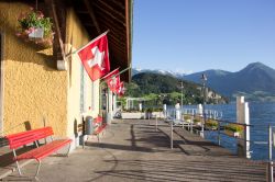 Una bella giornata estiva dal molo del lago di Lucerna, Vitznau, Svizzera.

