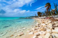 Una bella spiaggia di pietre con palme sull'isola di Eleuthera, Arcipelago delle Bahamas. Si trova 80 km a est di Nassau.
